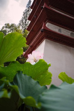 Baoguang Tapınağı, Sichuan, Çin - 5 Ağustos 2018 stupa Bao Guang tapınağın içinde. Millennium Budist Tapınağı, Shakya Muni'nın stupa de Sichuan, Çin.