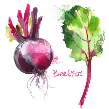 Beyaz zemin üzerine suluboya ile boyalı pancar