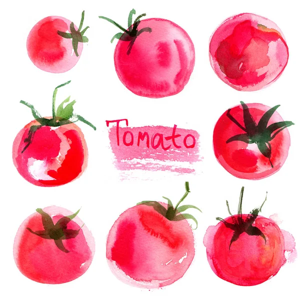 Set de tomates dibujados Mr. Abel fondo —  Fotos de Stock