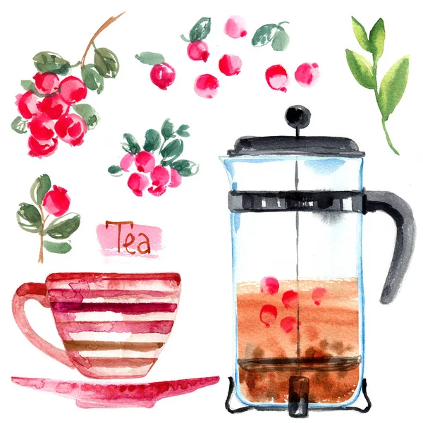 Tea painted with watercolors on white background — Stock Photo, Image