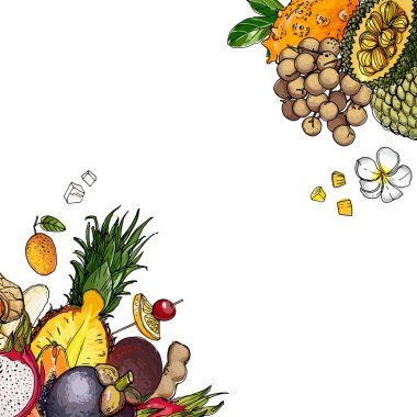 Beyaz bir arka plan üzerinde bir çizgi ile çizilmiş meyve