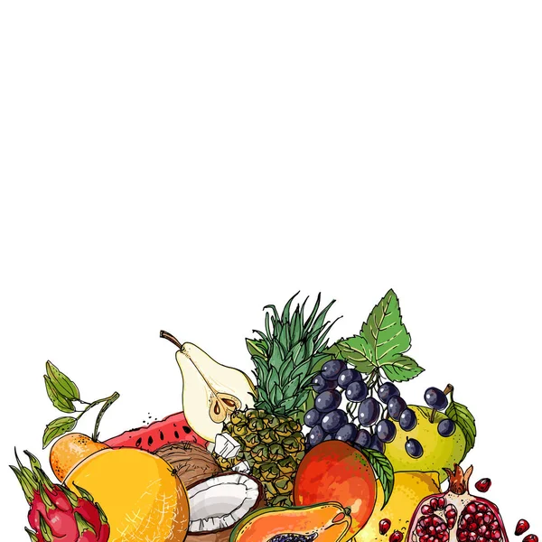 Watermelon, cantaloupe, pomegranate, apricot, persimmon line dra — Stock Vector