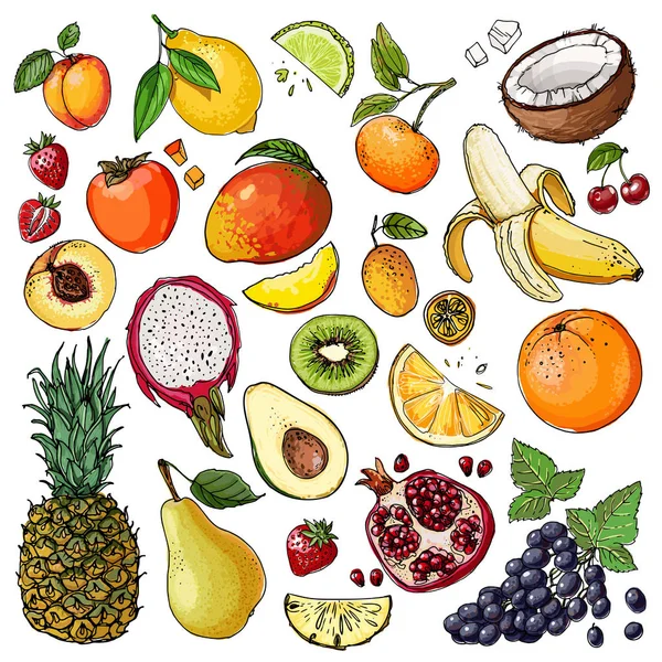Fruits dessinés par une ligne sur un fond blanc — Image vectorielle