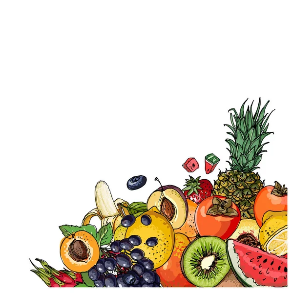 Cantaloupemelon, aprikos, granatäpple, vattenmelon, persimon linje dra — Stock vektor