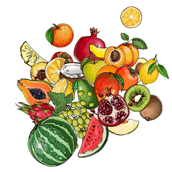 Wassermelone, Cantaloupe, Granatapfel, Aprikose, Persimmon line dra — Stockvektor