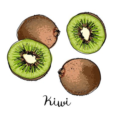 Meyve kümesi beyaz bir arka plan üzerine bir çizgi çizilmiş