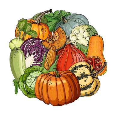 Kabak, enginar, pancar, kuşkonmaz, Mısır, sarımsak, domates hattı