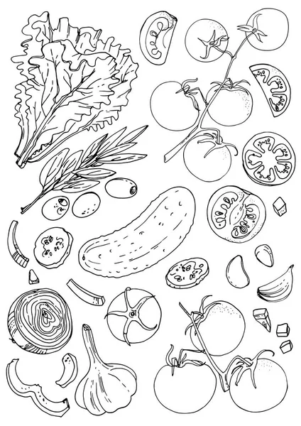Alface, tomate, pepino, azeitonas, linha de alho desenhada em um whit — Vetor de Stock