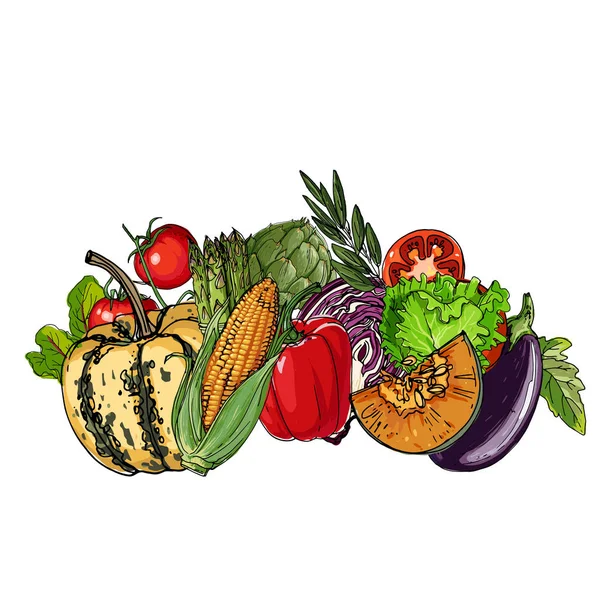 Cuadrado Verduras Colores Comida Fresca Calabaza Col Blockley Kohlrabi Coliflor — Archivo Imágenes Vectoriales