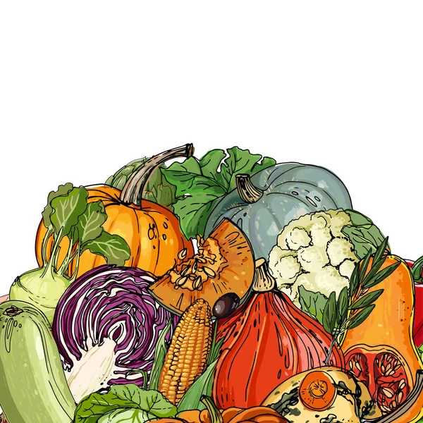 Calabaza, alcachofas, remolacha, espárragos, maíz, ajo, línea de tomate — Archivo Imágenes Vectoriales