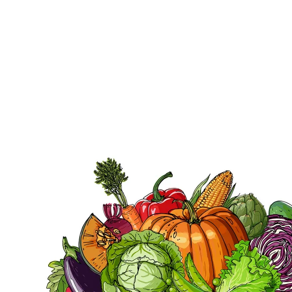Calabaza, alcachofas, remolacha, espárragos, maíz, ajo, línea de tomate — Archivo Imágenes Vectoriales
