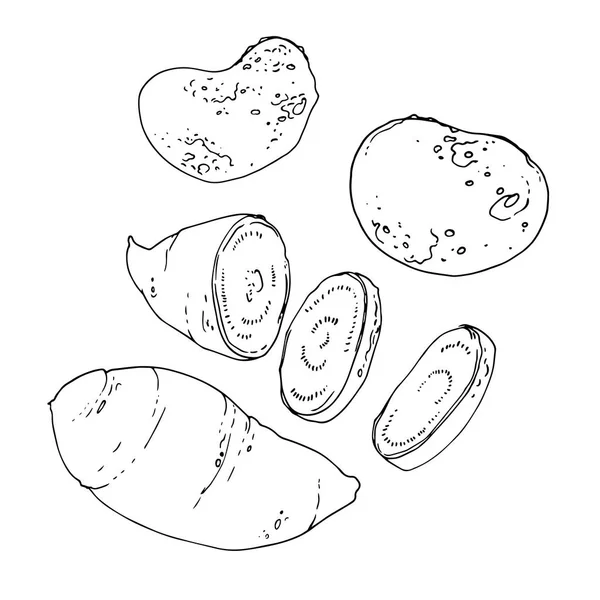 Batata Doce Batatas Desenhadas Por Uma Linha Contexto Branco Esboço — Vetor de Stock