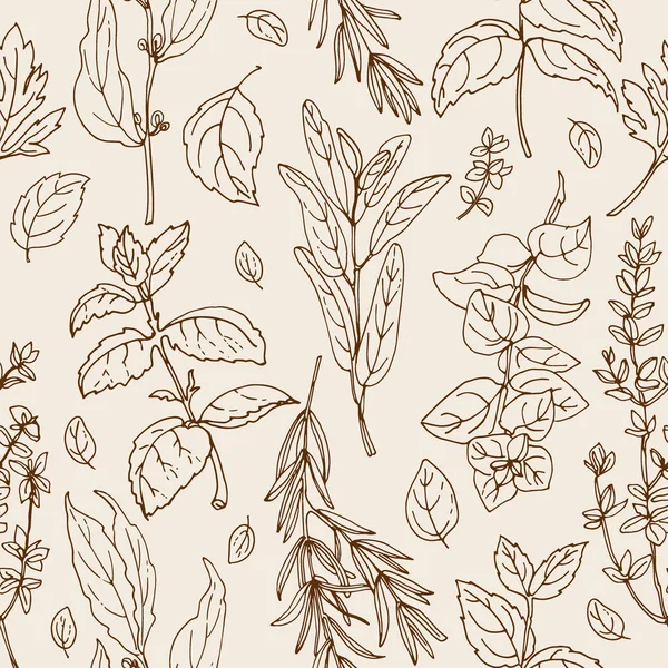 草药的模式 意大利药草在白色背景上画了黑线 矢量插图 迷迭香 百里香 — 图库矢量图片