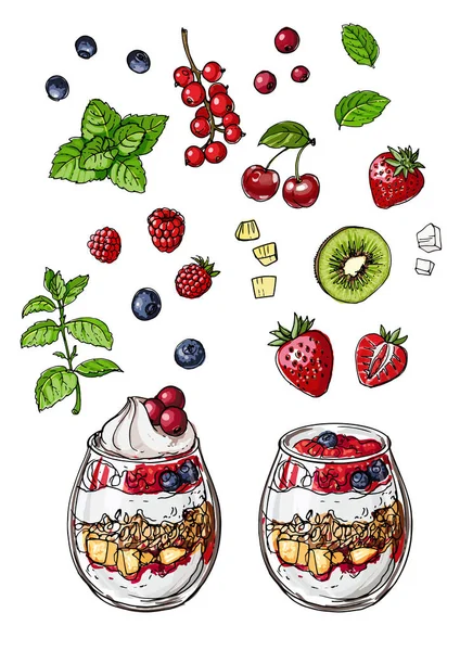 在罐子里放酸奶 白色背景下的膳食线示意图 猕猴桃 蔓越莓 — 图库矢量图片