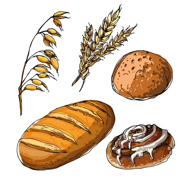 白色背景线条绘制的面包 — 图库矢量图片