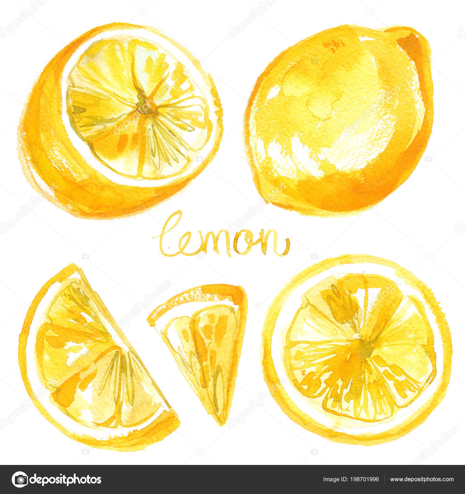 Background Watercolor Lemon Lemon Painted Watercolors White