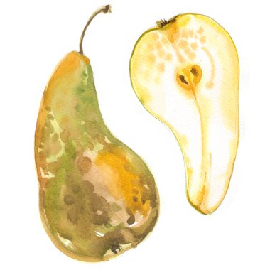 Beyaz zemin üzerine suluboya ile armut boyalı. Kağıt üzerinde renkli sulu meyve