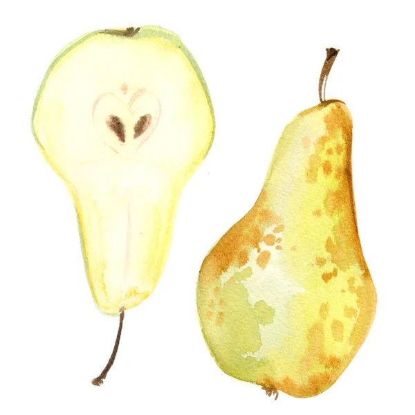 梨在白色背景上涂上水彩 纸上彩色多汁水果 — 图库照片