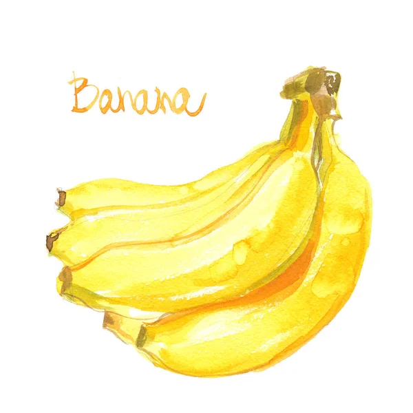 Banany Pomalowane Farbami Białym Tle Kolorowe Owoce Akwarela Żółty Banan — Zdjęcie stockowe