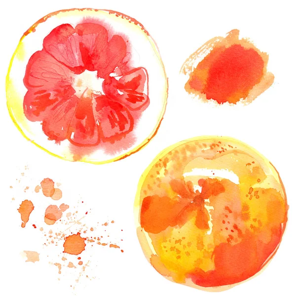 Toranja Pintada Com Aquarelas Sobre Fundo Branco Fruta Aquarela Comida — Fotografia de Stock