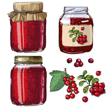 Berry korur. Fuska, kızılcık. Kavanoz reçel için ayarlayın. Beyaz bir arka plan üzerinde siyah bir çizgi. Vektör skech gıda