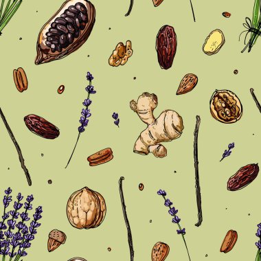 Beyaz bir arka plan üzerine çizilen desen fındık ve baharat çizgi. Kroki yiyecek. Ceviz, kakao fasulye, vanilya, Gorica, badem, fındık, fıstık, anason