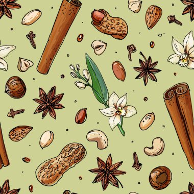 Beyaz bir arka plan üzerine çizilen desen fındık ve baharat çizgi. Kroki yiyecek. Ceviz, kakao fasulye, vanilya, Gorica, badem, fındık, fıstık, anason