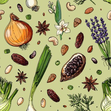 Beyaz bir arka plan üzerine çizilen desen fındık ve baharat çizgi. Kroki yiyecek. Ceviz, kakao fasulye, vanilya, Gorica, badem, fındık, fıstık, anason