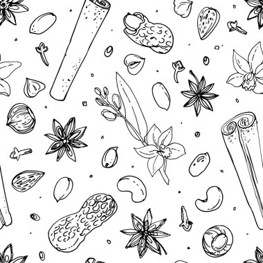 Beyaz bir arka plan üzerine çizilen desen fındık ve baharat çizgi. Kroki yiyecek. Ceviz, kakao fasulye, vanilya, Gorica, badem, fındık, fıstık, anason