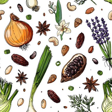Beyaz bir arka plan üzerine çizilen desen fındık ve baharat çizgi. Kroki yiyecek. Ceviz, kakao fasulye, vanilya, Gorica, badem, fındık, fıstık, anason