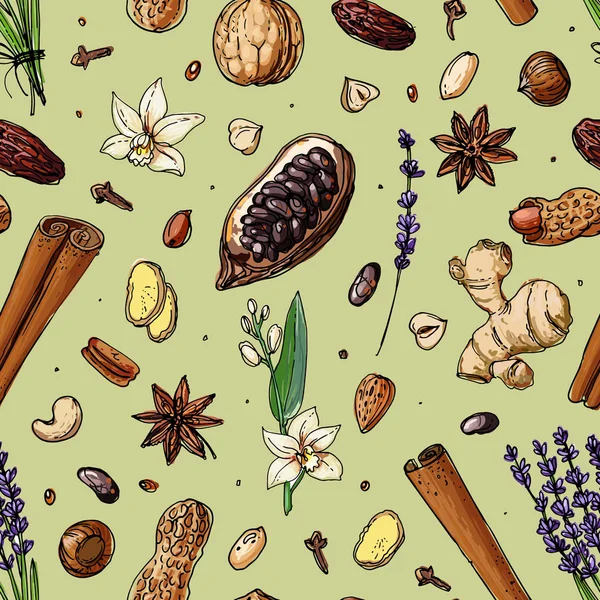 Beyaz bir arka plan üzerine çizilen desen fındık ve baharat çizgi. Kroki yiyecek. Ceviz, kakao fasulye, vanilya, Gorica, badem, fındık, fıstık, anason