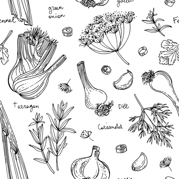 Pattern Herbs. Especias. Herb dibujó líneas negras sobre un fondo blanco. Ilustración vectorial. Hinojo, eneldo, cilantro, estragón, cebolla verde, ajo — Vector de stock