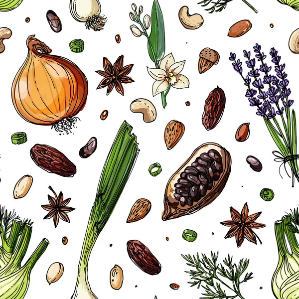 Beyaz bir arka plan üzerine çizilen desen fındık ve baharat çizgi. Kroki yiyecek. Ceviz, kakao fasulye, vanilya, Gorica, badem, fındık, fıstık, anason