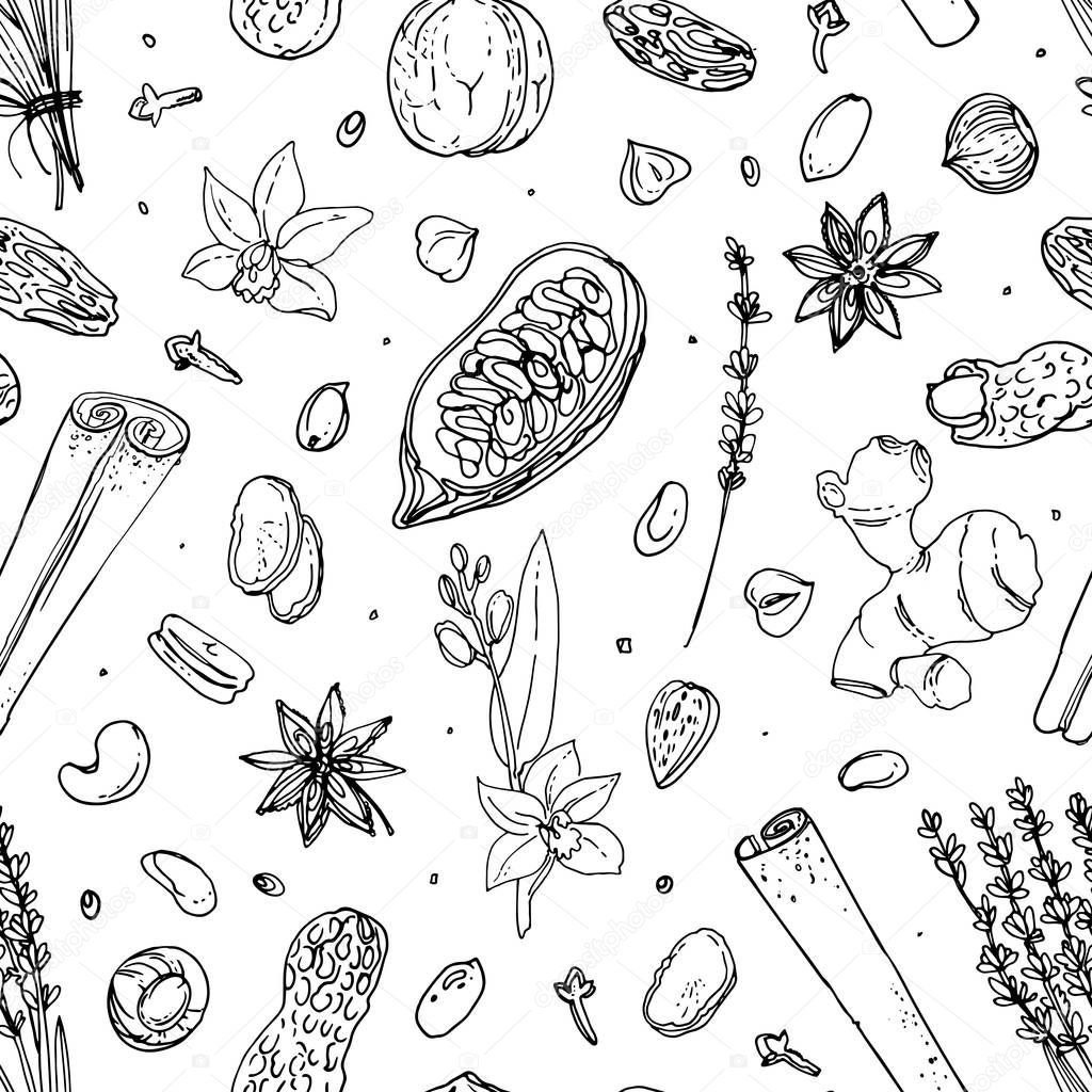 Pattern Nuts and spices line drawn on a white background. Sketch of food. Walnut, cocoa beans, vanilla, Gorica, almonds, hazelnuts, peanuts, anise