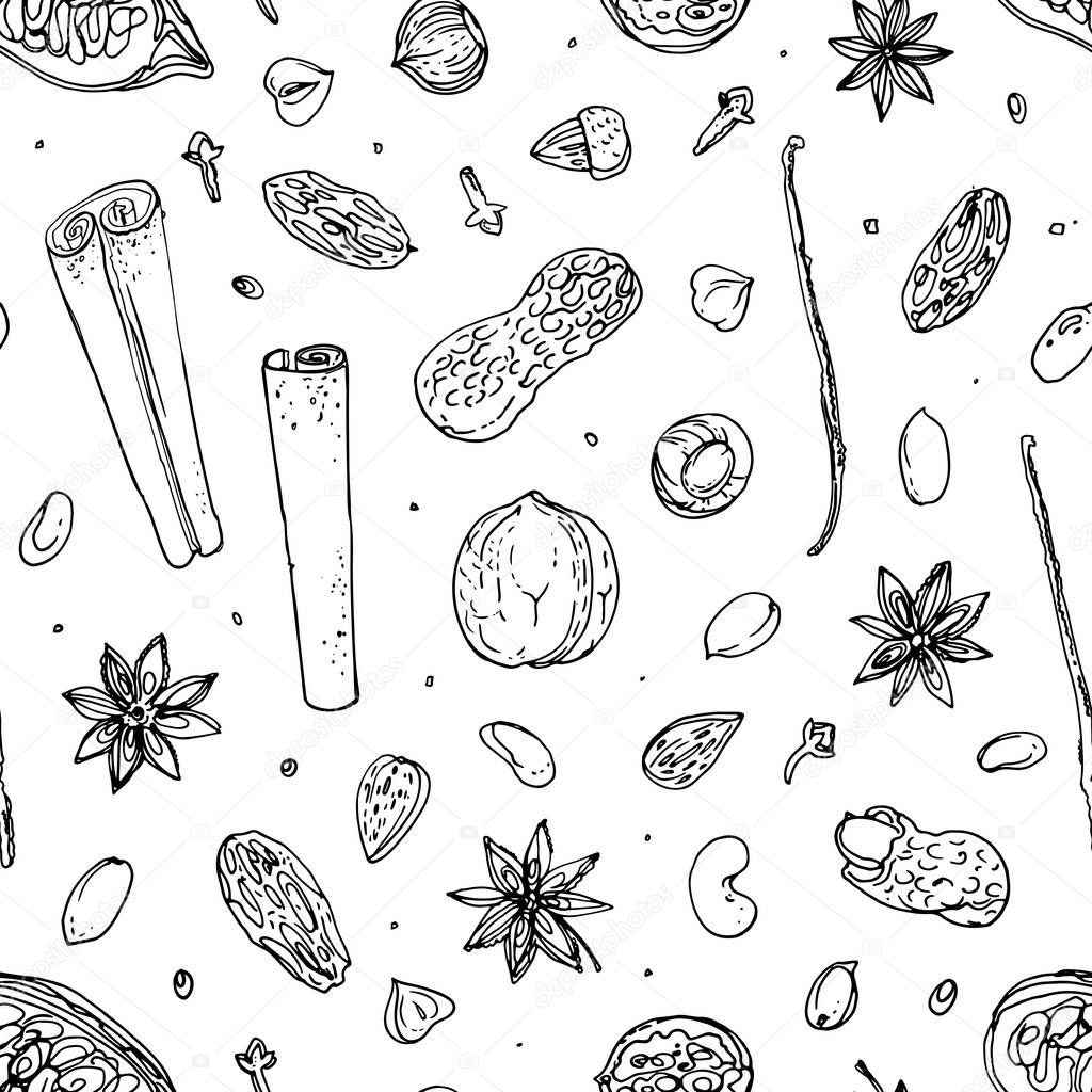Pattern Nuts and spices line drawn on a white background. Sketch of food. Walnut, cocoa beans, vanilla, Gorica, almonds, hazelnuts, peanuts, anise