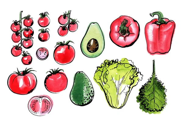 Эскиз пищевых овощей по линии и акварели. Черри помидоры, авокадо, салат, капуста, паприка — стоковый вектор