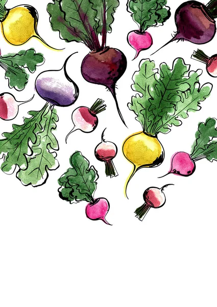 Tinta aquarela cartaz vegetal. Farm quadro de alimentos frescos. —  Vetores de Stock