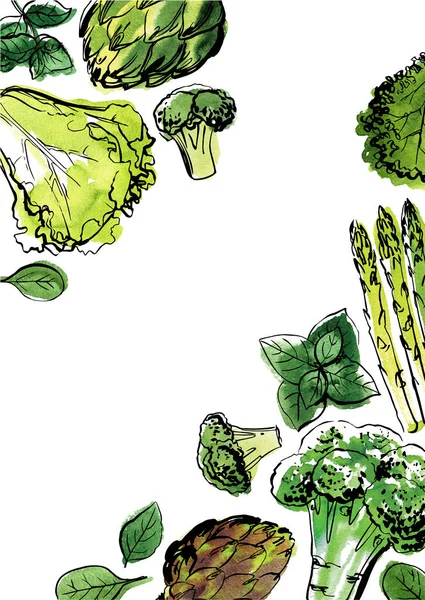 Tinta aquarela cartaz vegetal. Farm quadro de alimentos frescos. — Vetor de Stock