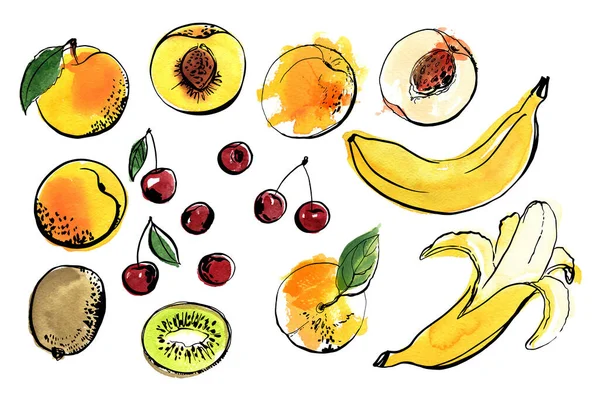 白い背景にベクトルライトフルーツラインの水彩。桃、キウイ、チェリー、バナナ — ストックベクタ