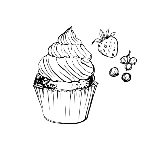 Cupcakes with berries. Sweet pastries. Ink sketch of food by line on white background. — Stock Vector