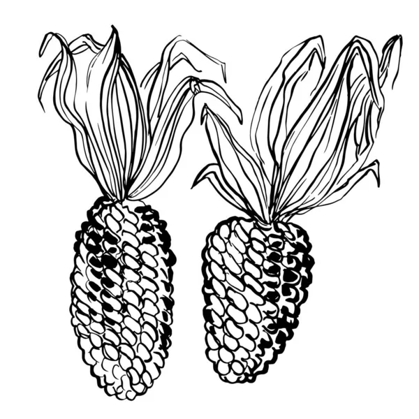 Кукурудзяні овочі. Чорнильний ескіз їжі за лінією на білому тлі . — стоковий вектор