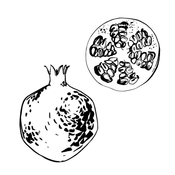 Гранат. Фрукти Векторний ескіз їжі в чорнилі на білому тлі . — стоковий вектор