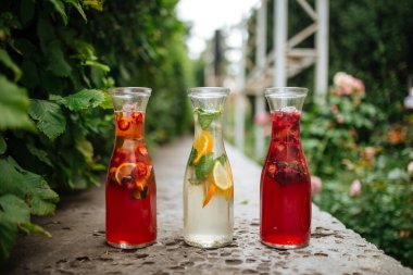 Üç meyve ve böğürtlen limonatasına yan bakış 