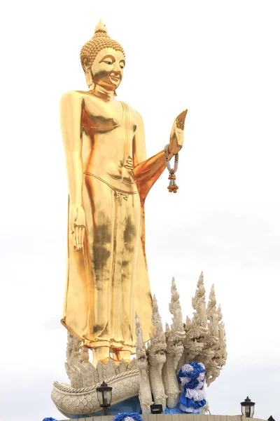 Estátua Buda Com Fundo Branco — Fotografia de Stock