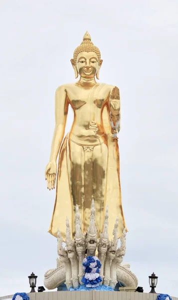 Άγαλμα Του Βούδα Λευκό Φόντο — Φωτογραφία Αρχείου
