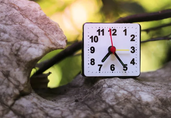 Relógio Está Definido Com Natureza — Fotografia de Stock
