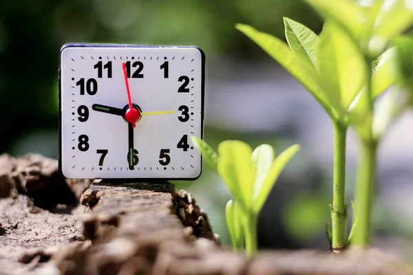 Clock Set Nature — Stock Photo, Image