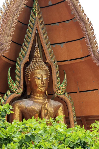 Buddha Statue Beautiful Golden Color — Stock Photo, Image