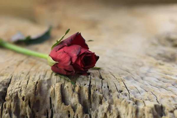 Red roses placed on old wood with backdrop blurred.