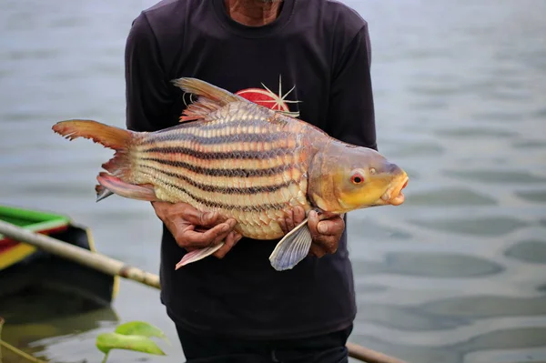 Pescadores Capturan Peces Río Usando Barco Motor — Foto de Stock